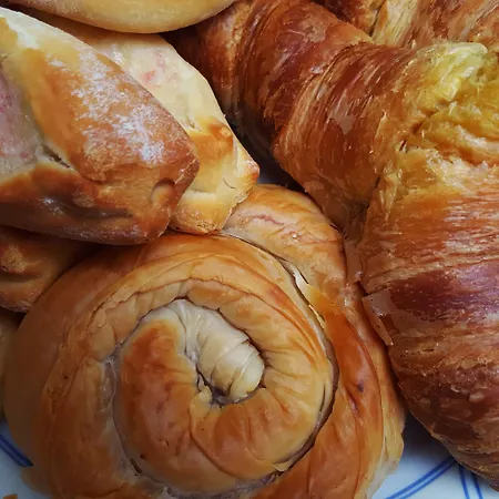 Roditsa Patritsia 3*