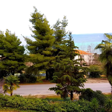 Roditsa Patritsia Polychrono