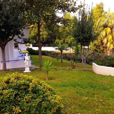 Roditsa Patritsia 3*