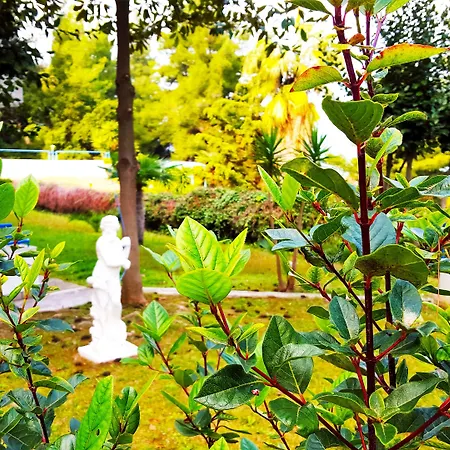 Roditsa Patritsia Polychrono