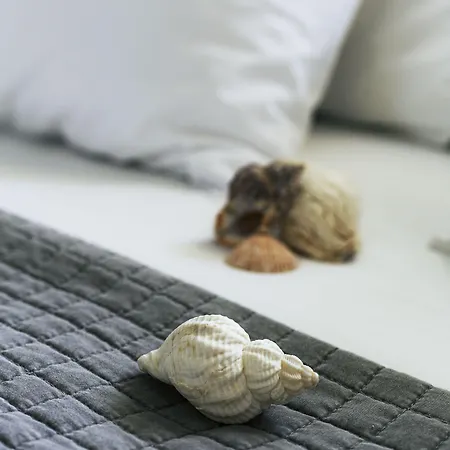 Roditsa Patritsia 3*