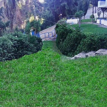 Roditsa Patritsia Polychrono