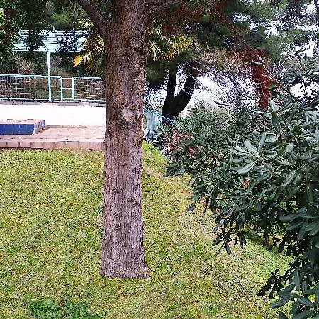 Roditsa Patritsia Aparthotel Polychrono