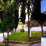 Roditsa Patritsia