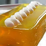 Roditsa Patritsia