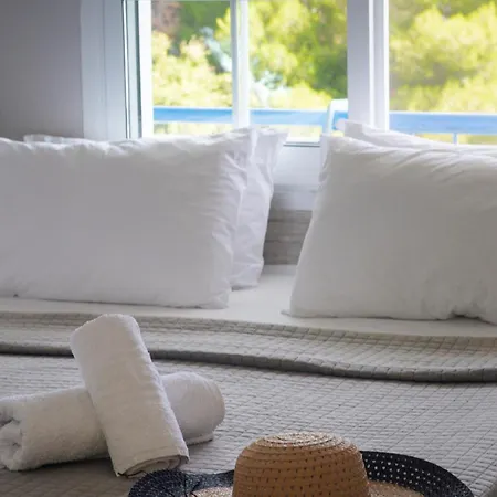 アパートホテル Roditsa Patritsia ポリフロノ