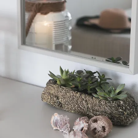 Roditsa Patritsia アパートホテル