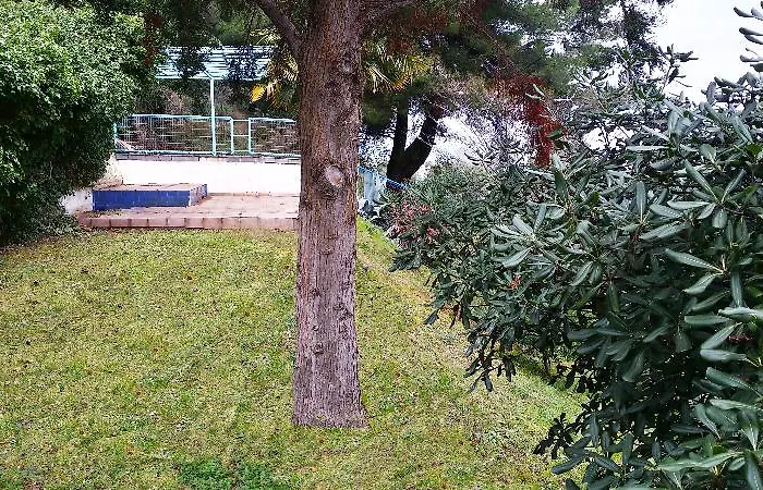 Roditsa Patritsia Apart Otel Polychrono